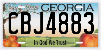 GA license plate CBJ4883
