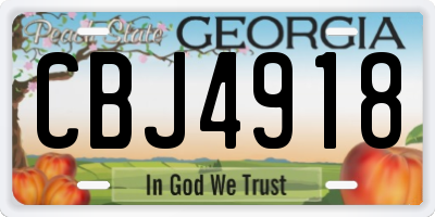 GA license plate CBJ4918