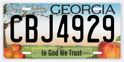 GA license plate CBJ4929