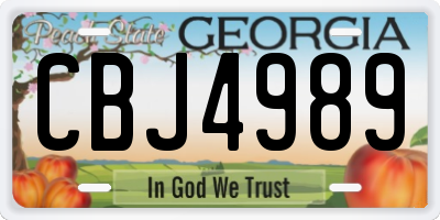 GA license plate CBJ4989