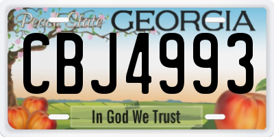 GA license plate CBJ4993