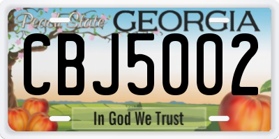 GA license plate CBJ5002