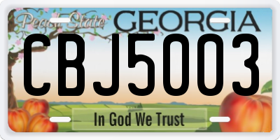 GA license plate CBJ5003