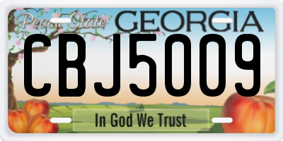 GA license plate CBJ5009