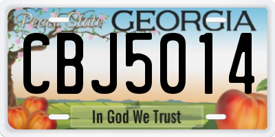 GA license plate CBJ5014