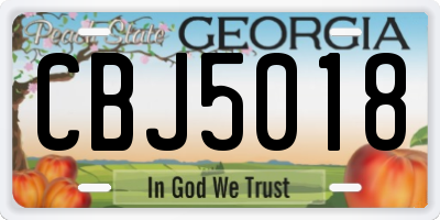 GA license plate CBJ5018
