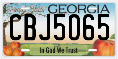 GA license plate CBJ5065