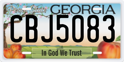 GA license plate CBJ5083
