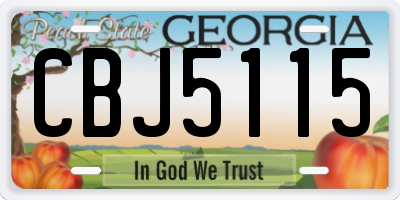 GA license plate CBJ5115
