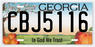GA license plate CBJ5116