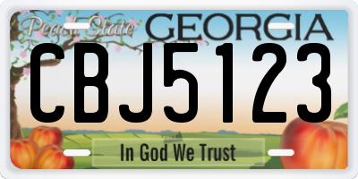 GA license plate CBJ5123