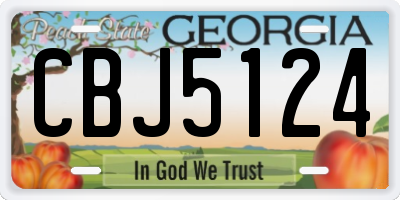 GA license plate CBJ5124