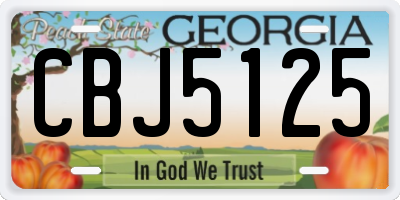 GA license plate CBJ5125