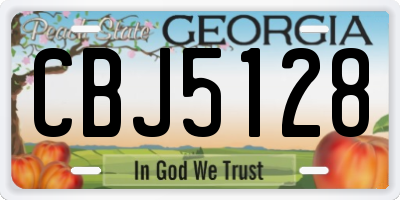 GA license plate CBJ5128