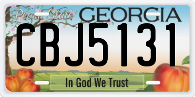 GA license plate CBJ5131
