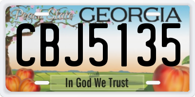 GA license plate CBJ5135