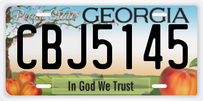 GA license plate CBJ5145