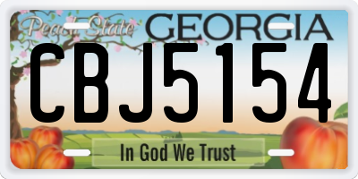 GA license plate CBJ5154