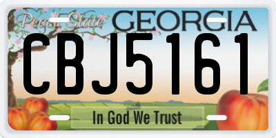GA license plate CBJ5161