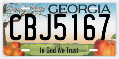 GA license plate CBJ5167