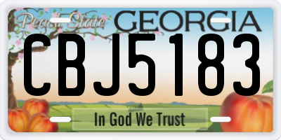 GA license plate CBJ5183