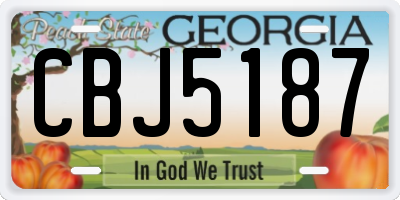 GA license plate CBJ5187