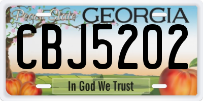 GA license plate CBJ5202