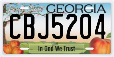 GA license plate CBJ5204