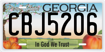 GA license plate CBJ5206