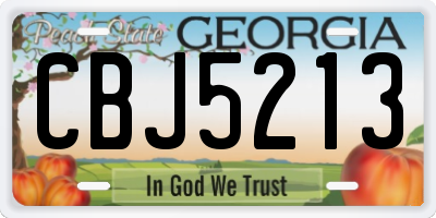 GA license plate CBJ5213