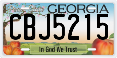 GA license plate CBJ5215