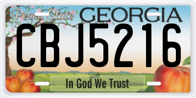 GA license plate CBJ5216