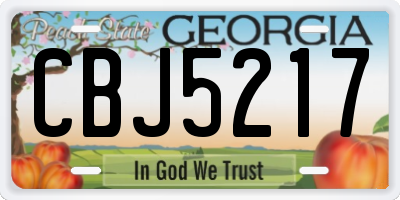 GA license plate CBJ5217
