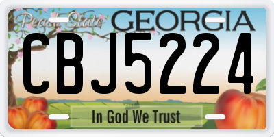 GA license plate CBJ5224