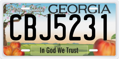 GA license plate CBJ5231