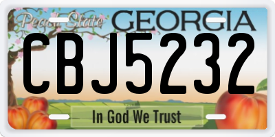 GA license plate CBJ5232