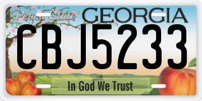 GA license plate CBJ5233