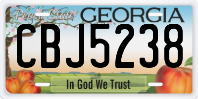 GA license plate CBJ5238