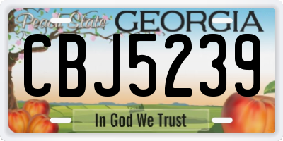GA license plate CBJ5239