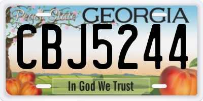 GA license plate CBJ5244