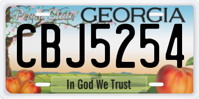GA license plate CBJ5254