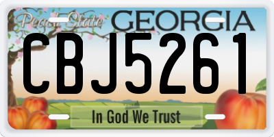 GA license plate CBJ5261