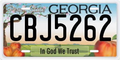 GA license plate CBJ5262