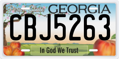 GA license plate CBJ5263