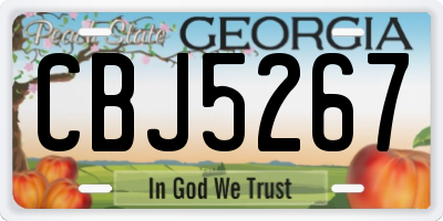 GA license plate CBJ5267