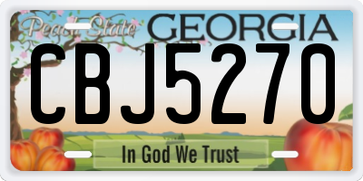 GA license plate CBJ5270