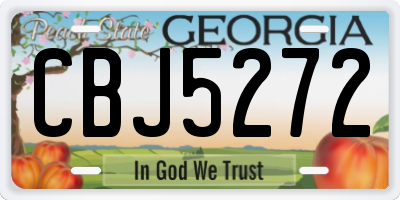 GA license plate CBJ5272