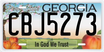 GA license plate CBJ5273