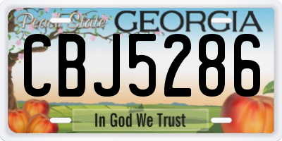 GA license plate CBJ5286