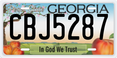 GA license plate CBJ5287